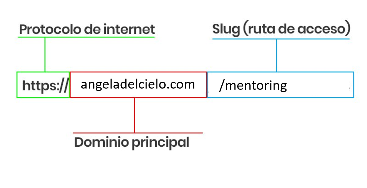 anatomiaurl anatomía url